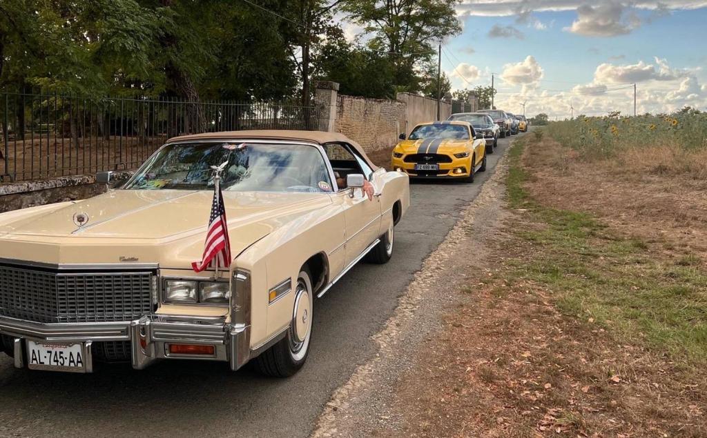 Drive-in 2022 Video Highlights