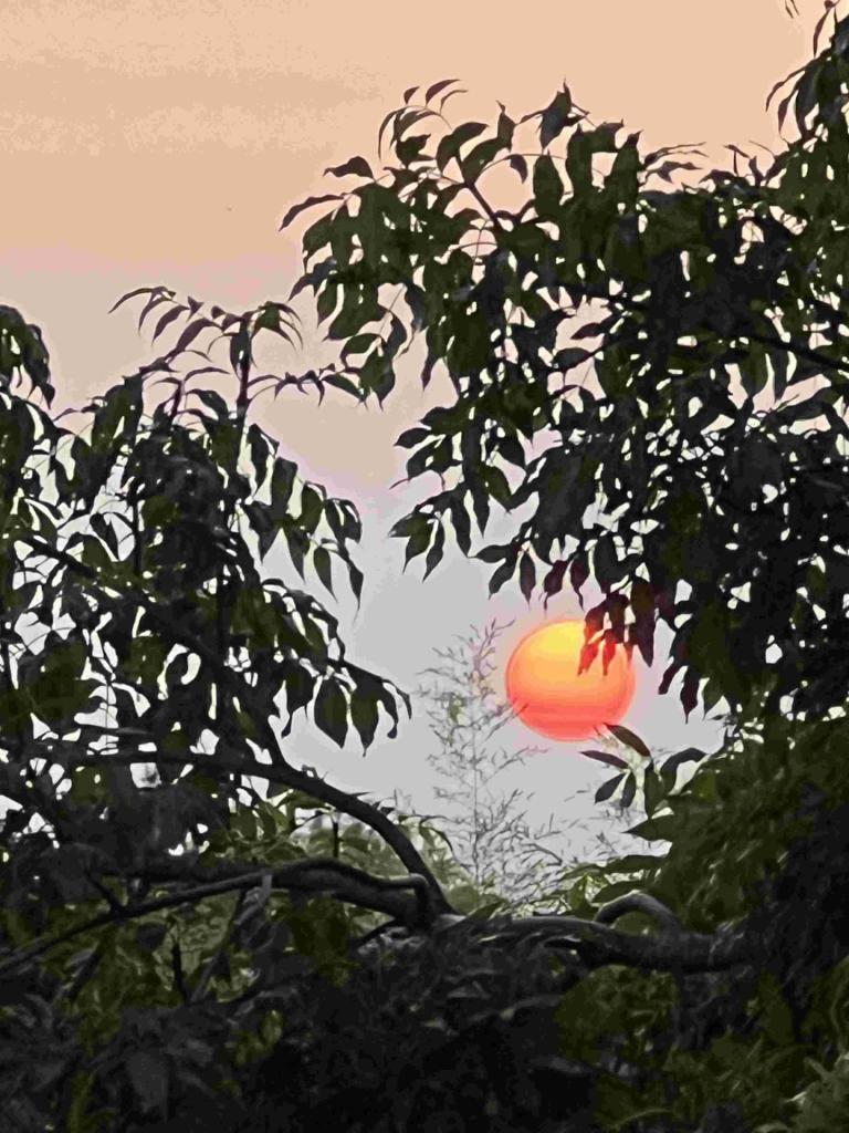 Sunset 1
