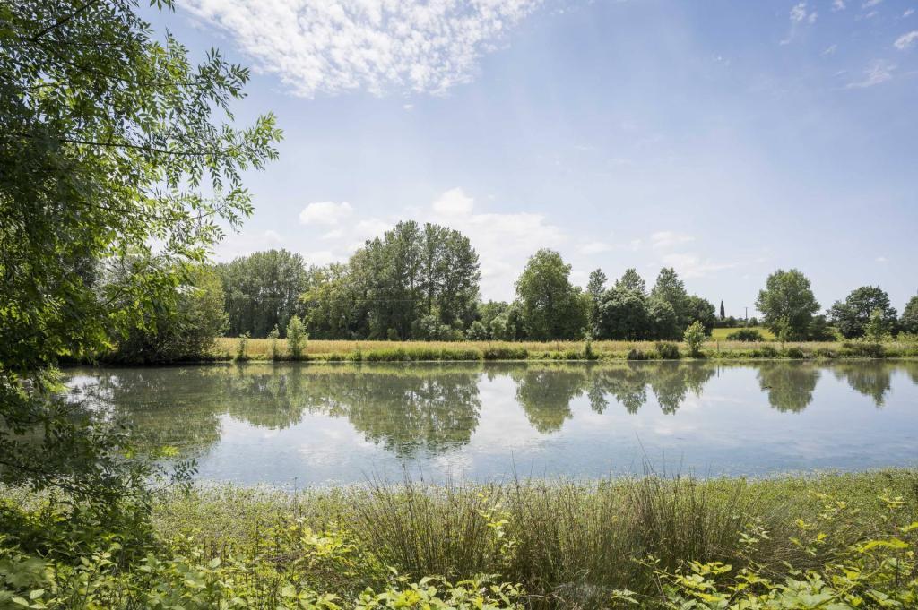 Pond 1 (Summer)
