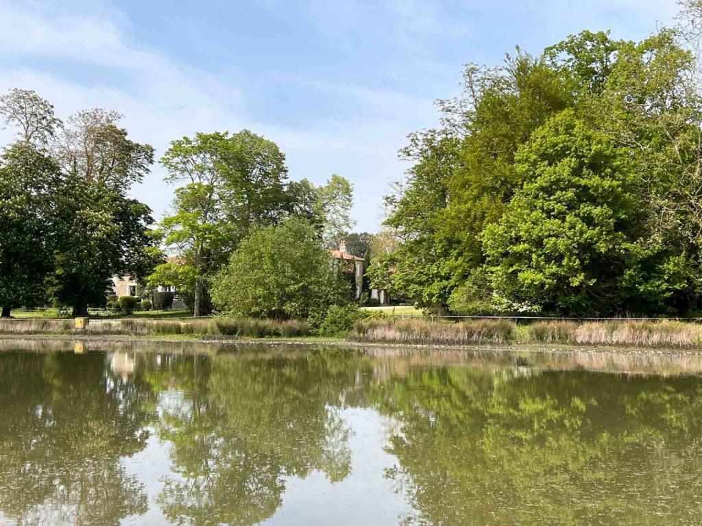 Pond 2 (Spring)