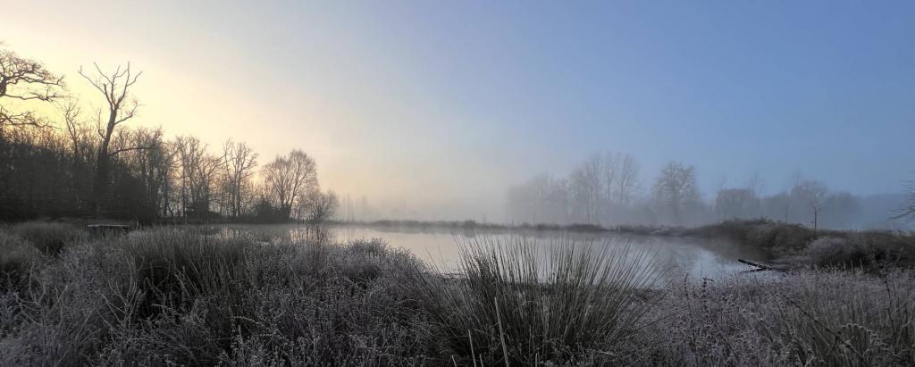 Pond 3 (Winter)
