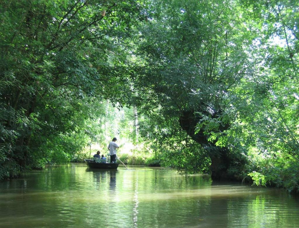 The Green Venice of the Marais Poitevin