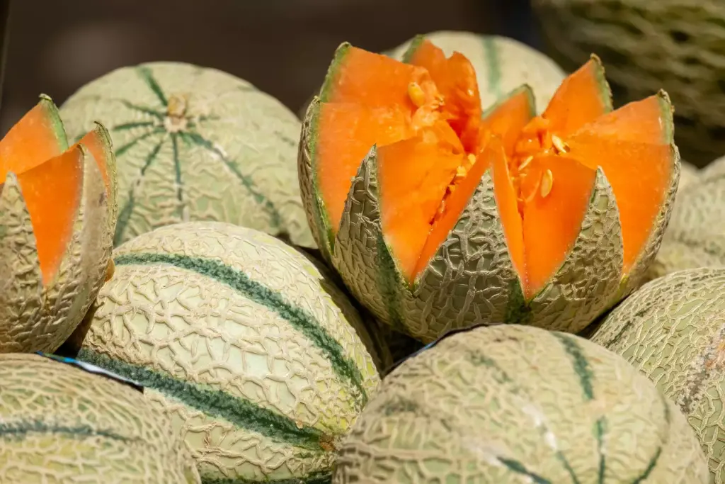  Les plus beaux marchés de Charente-Maritime 