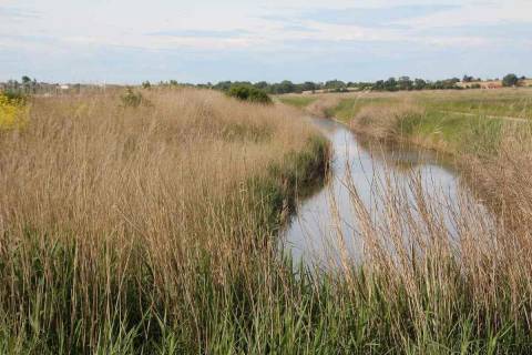 Marais Poitevin Park 30 minutes away | La Garenne Saint Germain, gites & B&B in Charente-Maritime Marais Poitevin Park 30 minutes away | La Garenne Saint Germain, gites & B&B in Charente-Maritime
